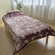 283054154800 [V＆A アクリル毛布（毛羽部分）S 140×200cm レッド]
