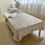283044904400 [V＆A マイヤー合わせ毛布 140×200cm ベージュ]