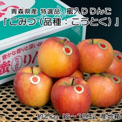 蜜入りりんご『こみつ』特選品（緑箱）青森県石川地区産 約2kg（6～12玉） ※常温 [ご注文期間は2025年12月15日（月）まで]