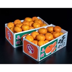 【糖度12度選別】 極甘みかん 『味ロマン』 JA長崎せいひ 約2.5kg×2箱 外皮に傷あり （2S～Mサイズ） ※常温 [ご注文期間は2025年12月22日（月）まで]