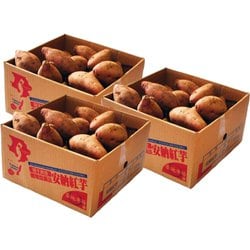 訳あり小玉『安納紅芋』鹿児島県種子島産 約4.5kg（1.5kg×3箱） ※常温 [ご注文期間は2025年12月15日（月）まで]