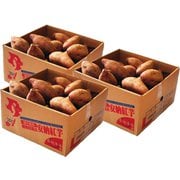 訳あり小玉『安納紅芋』鹿児島県種子島産 約4.5kg（1.5kg×3箱） ※常温 [ご注文期間は2024年11月14日（木）まで]