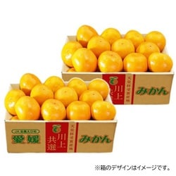 【天皇杯受賞産地】JAにしうわ 愛媛 西宇和産 川上みかん 大玉2Lサイズ 約3kg×2箱 [ご注文期間は2025年12月10日（水）まで]