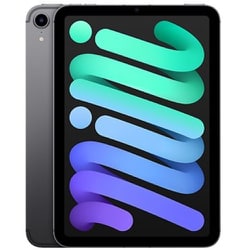 アップル Apple iPad mini （A17 Pro） Wi-Fi＋Cellularモデル 256GB スペースグレイ