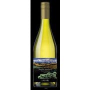 【チリ】テラ・アンディーナ アンデスの大地 シャルドネ 750ml [白ワイン]