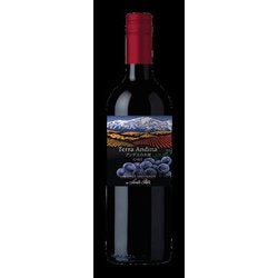 【チリ】テラ・アンディーナ アンデスの大地 カベルネソーヴィニヨン 750ml [赤ワイン]