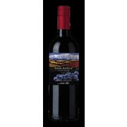 【チリ】テラ・アンディーナ アンデスの大地 カベルネソーヴィニヨン 750ml [赤ワイン]