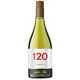 【チリ】120（シェイントペインテ） シャルドネ 750ml [白ワイン]