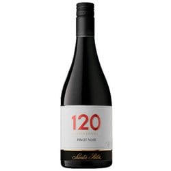 【チリ】120（シェイントペインテ） ピノノワール 750ml [赤ワイン]