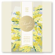 GIFT WRAPPING ALBUM(S) Mimosa GWAS-14