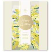 GIFT WRAPPING ALBUM(L) Mimosa GWAL-12