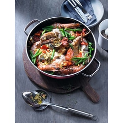 WMF - フュージョンテック ミネラル ロースター28cm PL ヨドバシ.com - WMF ヴェーエムエフ フュージョンテック