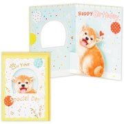 誕生日カード 柴犬 EAR-840-242