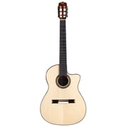 FUSION ナイロン ガットギター FUSION 14 MAPLE