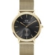 Classic Multi-Eye Evergold Onyx Gold 40mm 正規品 2年保証 DW00100713