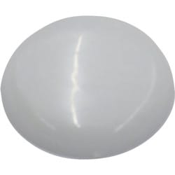DAIDОHANT ビスキャップ 白 （直径13mm） 「50個入」（座金別売） 10173427