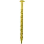 10179646 [DAIDОHANT ダイドーハント 真鍮釘スクリュー 丸頭 （径：d）2.4x（長さ：L）45mm（約50本入）]