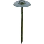 10179693 [DAIDОHANT ダイドーハント 上敷き鋲 クリアー （径：d）1.5x（全長：L）30mm （頭径：D）12.6mm（約50入）]