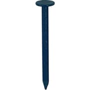10179985 [DAIDОHANT ダイドーハント カラートタン釘 （径：d）2.1x（長さ：L）32mm 青（約100本入）]