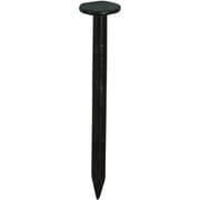 10179987 [DAIDОHANT ダイドーハント カラートタン釘 （径：d）2.1x（長さ：L）32mm 新茶（約100本入）]