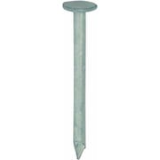 10179988 [DAIDОHANT ダイドーハント カラートタン釘 （径：d）2.1x（長さ：L）32mm 白（約100本入）]