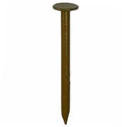 10179989 [DAIDОHANT ダイドーハント カラートタン釘 （径：d）2.1x（長さ：L）32mm 茶（約100本入）]
