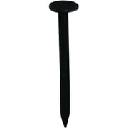 10179990 [DAIDОHANT ダイドーハント カラートタン釘 （径：d）2.1x（長さ：L）32mm 黒（約100本入）]