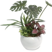 ササガワ 人工観葉植物 モンステラ寄植え Sサイズ 32-8708