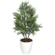 ササガワ 人工観葉植物 ティーリーフ Мサイズ 32-8714