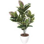 ササガワ 人工観葉植物 アルテシマ Мサイズ 32-8715