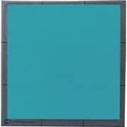 EXSEAL 背中用粘着マット ハイメンマット BM01-15001