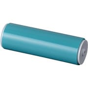 CR01-12006 [EXSEAL カーペットローラー スペア Φ54×160mm]