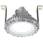 EXIL9083ASA9-22 [岩崎 防爆形LED照明器具特殊直付形]