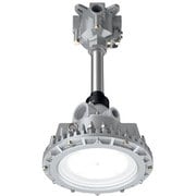 EYIL2081ASA9-22 [岩崎 安全増防爆形LED照明器具直付形]