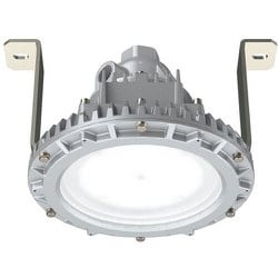 EYIL9031ASA9-22 [岩崎 安全増防爆形LED照明器具特殊直付形]
