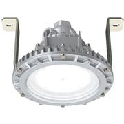 EYIL9031ASA9-22 [岩崎 安全増防爆形LED照明器具特殊直付形]