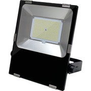 FH-255S-80W-5000K [エコーディア LED投光器 FH-255s-80W]