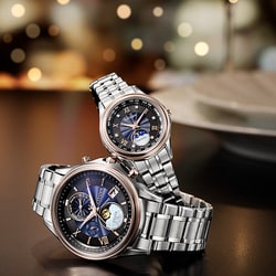 ルイ・イカール、ジプシー、豪華限定版・定価１０万３千円、新品額付 CITIZEN EXCEED EE1016-66F 限定モデル350本 いい夫婦の日限定