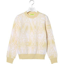 VH24FW 012-12910-051BE 040 [Lロゴニット]