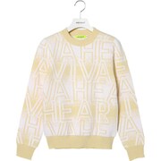 VH24FW 012-12910-051BE 040 [Lロゴニット]