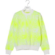 VH24FW 012-12910-032YL 040 [Lロゴニット]