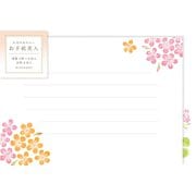 お手紙美人 友人へ ゼラニウム レターセット Wa-Life LTB6