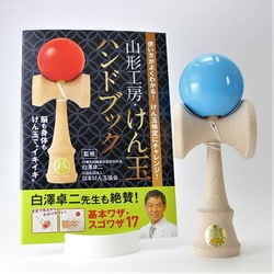 YKA151 福祉けん玉 「大晴」 ハンドブックセット 水色