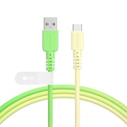 グラデーションケーブル USB-A to USB-C メロンクリームソーダ 1m MOT-SCBACG100-MS