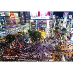 300-417 シリーズ・日本の都市61 東京都渋谷区「スクランブル交差点」 [ジグソーパズル 300ピース]