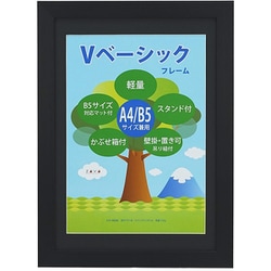 Vベーシックフレーム A4/B5 ブラック VF-A4B5-BK