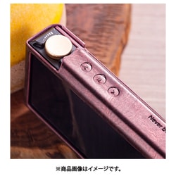 ヨドバシ.com - Cayin カイン Cayin N3 Ultra用 カスタマイズ