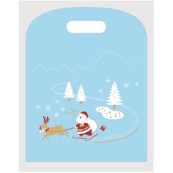 76-971 [イージーバッグM スキーサンタ]