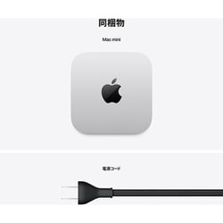 ⚫︎最終値下げ⚫︎Apple Mac mini M4 16GB SSD 256GB Mac mini: Apple M4 chip with 10-core CPU and 10-core GPU