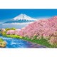 300-125 日本風景 富士と潤井川の桜並木 [ジグソーパズル 300ピース]